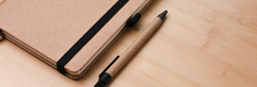 stylo en bambou
